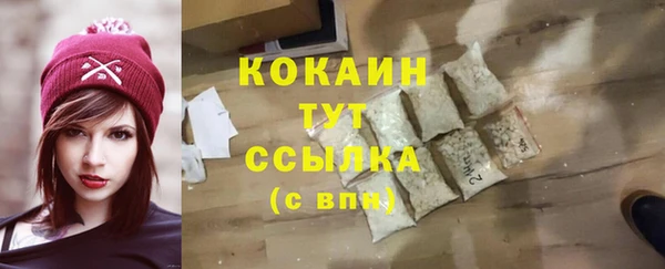 дмт Белокуриха