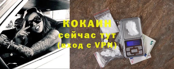 прущие грибы Балахна