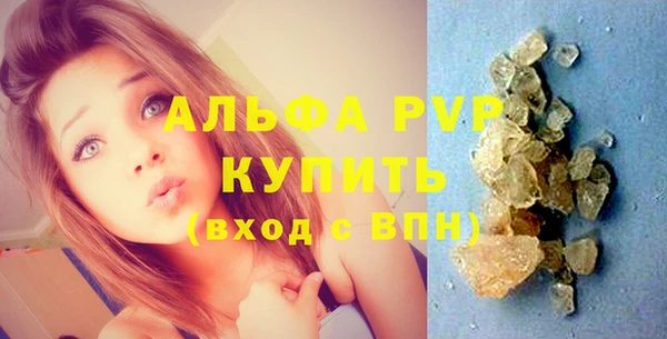 ГАЛЛЮЦИНОГЕННЫЕ ГРИБЫ Богданович