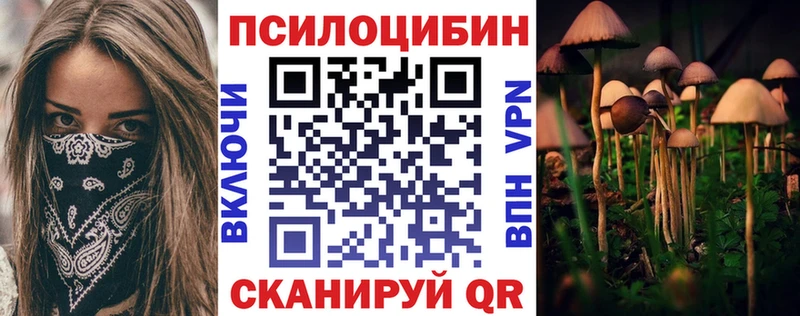 купить наркотик  Бор  Псилоцибиновые грибы ЛСД 